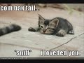 try not to laugh 6!