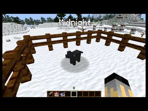 how to tame a cat in minecraft mo creatures
