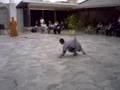 Shaolin Monks em S�o Paulo