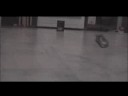 Just a little video I made for my Bit Char-G cars