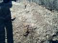 digging hole pt. 20
