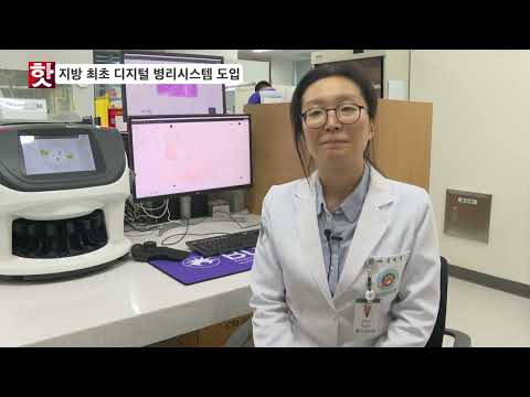 핫이슈 지방 최초 디지털 병리 시스템 도입