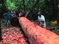 Ye'kwana Dugout