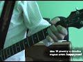 W piwnicy u dziadka (zwrotka) - happysad cover