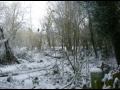 Snow in Stoke (yet again)