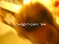 Click here to watch this video papa jahat 2009