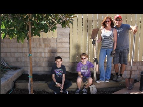 how to fill raised garden beds