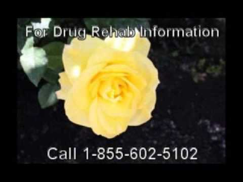 Government Based Drug Alcohol Rehab Center By Charleston
