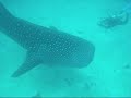 Maldives 2008