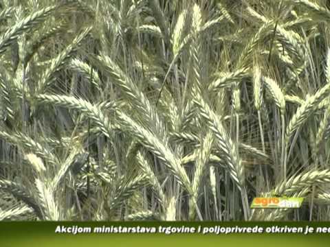 AgroDan 10.06.2013