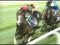 Stay Gold in Dubai Sheema Classic 2001