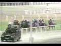 Stay Gold in Dubai Sheema Classic 2001