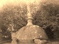 Bomarzo, el jardín de los monstruos. Bomarzo, el jardín de los monstruos.