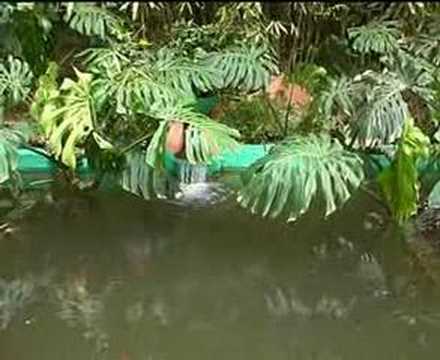 Le jardin Majorelle