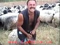 zmaj-od-ipova-.html