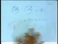 videos de Lecture - 26 Dynamics on a Torus