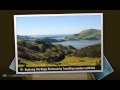 Otago Peninsula - Dunedin, South Island, New ...
