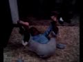 Video from My Phone (0212081822.3g2)