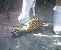 Crushing Pineapple Platform High Heels