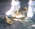 Crushing Pineapple Platform High Heels