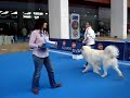 clip video La Talvera A la montanha