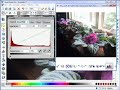 Making Colour 3D photos in Xara Xtreme PRO