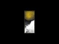 Ark EP by Loops Haunt, released on Black Acre. Amazing stuff. Support the artist and purchase at Boomkat: boomkat.com or any other good online music store.