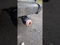 https://www.youtube.com/watch?v=S_Y0dLTbISw