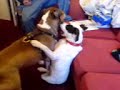 tyson and kia rumbling  round 4