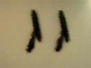 Wu Gaozhong's Windshield Wipers