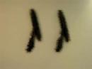Wu Gaozhong's Windshield Wipers