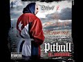 pitbull   go girl  dj kay c house mix 