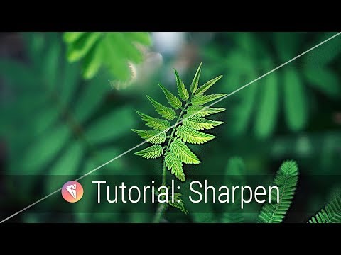 Sharpen Intro Tutorial