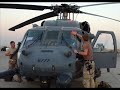 Sea Kings in the Sun