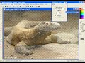 Efectos 3D: saliendo de la foto