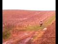 vollcross