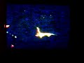 The Germs - live video 3