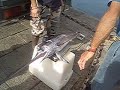 Fishermen and Swordfishes