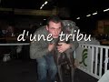 Dogue Allemand La Légende des Nymphes Bleues Great dane Dogue Allemand La Légende des Nymphes Bleues Great dane