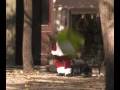 videos de Pai Natal