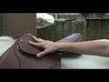 Ron Friedson CIRP Technology Saddles Leather & Synthetic