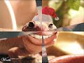 de meest grappigste film ooit