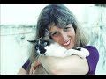 nossos felinos