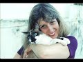 nossos felinos