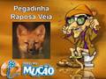 Mucao.com.br - Pegadinha - Raposa Véia