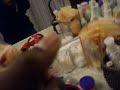 dead gerbil