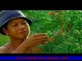 Pembangunan Pekanbaru - Riau 2007