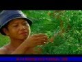 Pembangunan Pekanbaru - Riau 2007