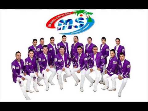 El Terco Banda MS