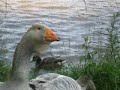 Unser Lieblingssee Unser Lieblingssee